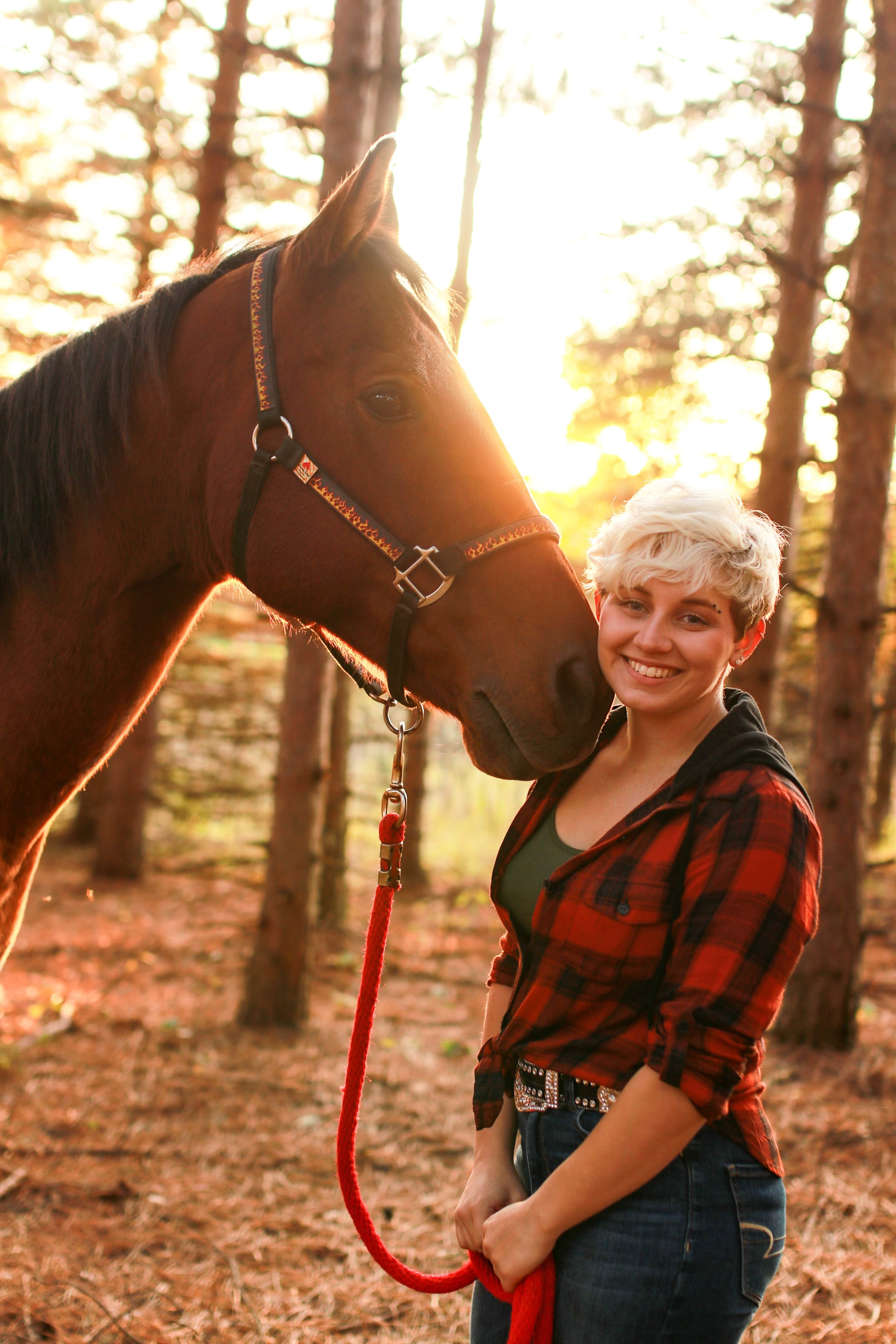 Sooner the horse