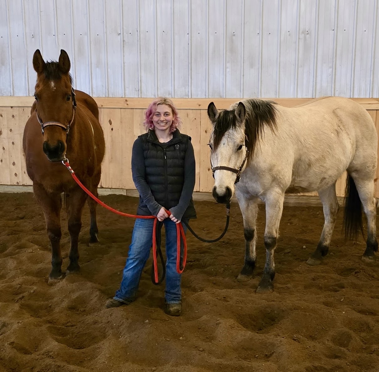 Alexis with two horses in an indoor arena